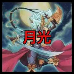 遊戯王 月光 デッキ 早い者勝ち#029