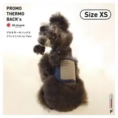 Item thumbnail for item 547f1e5b-e0a4-4274-92fc-6e83e4e75e69