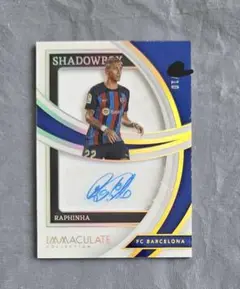 Item thumbnail for item 1aec03bb-d6a8-4150-8c33-1a878972bfbe