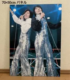 ☆お値下げ☆ビューティペア　かけめぐる青春　パネル