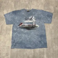 90s THE MOUNTAIN USA製　ヴィンテージ　Tシャツ　灯台　鷹
