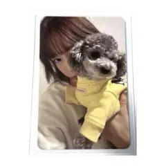 少女時代 テヨン 2022 SMTOWN SMCU PALACE トレカ