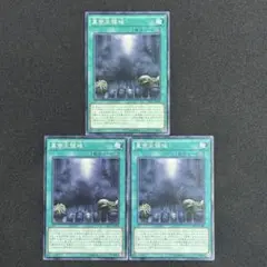 10 遊戯王 真帝王の領域 3枚