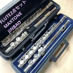 2025年最新】Maxtone フルートの人気アイテム - メルカリ