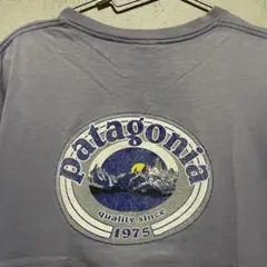 90s patagonia ベネフィシャル S プリント