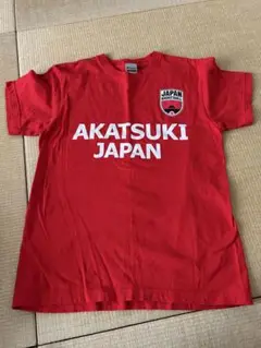 Item thumbnail for item 62252cf2-6180-4667-b554-ac8952b4ef28