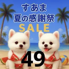 ✨夏の感謝祭セール✨パネル【Ｎｏ．49】