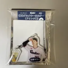 ヤクルトスワローズ 神宮グルメキーホルダー 内山壮真