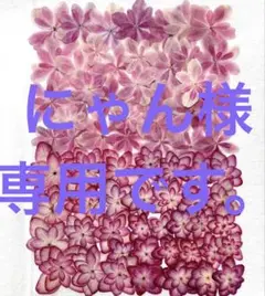 にゃん⋆⑅˚₊様 リクエスト 2点 まとめ商品