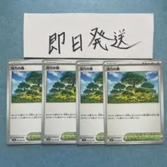 活力の森