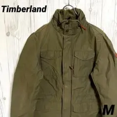 Item thumbnail for item 407ff99b-d3e5-47b5-88be-e59d21b32b8e