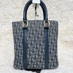 【希少✨】クリスチャンディオール ハンドバッグ トロッター D金具 ネイビー