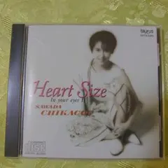 沢田知可子 Heart Size In Your Eyes