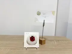 てんとう虫の刺繍ブローチ