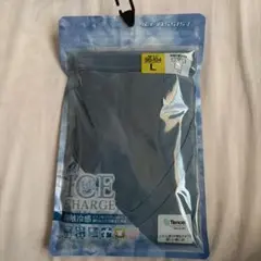 Item thumbnail for item 591c4bdb-ed46-410d-ac4d-ebd143b78b7f