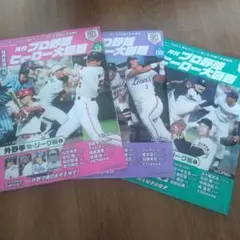 月刊プロ野球ヒーロー大図鑑 13・09 セリーグ・パリーグ