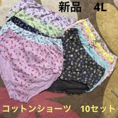 新品　4L ショーツ　10枚　コットン　可愛いデザイン
