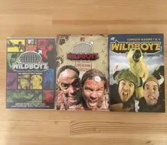 ワイルドボーイズ DVD 全シーズンセット