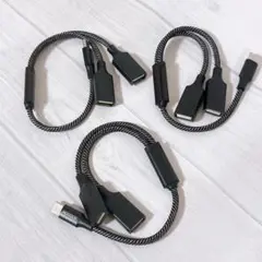 USB C 分岐器 USB CプラグからダブルUSBマザーケーブルアダプタ