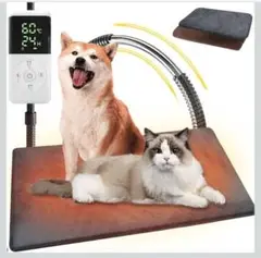 Item thumbnail for item 5d919574-3e80-4484-b065-b0c4dab5d8d8