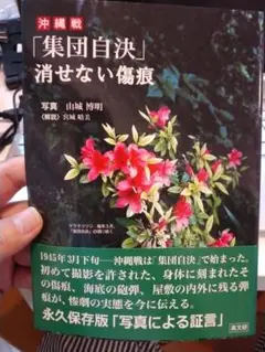 沖縄戦「集団自決」消せない傷痕