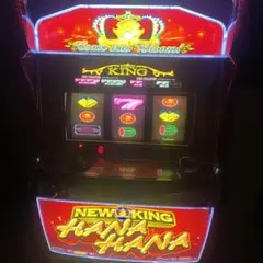 2025年最新】パチスロ ニューキングハナハナの人気アイテム