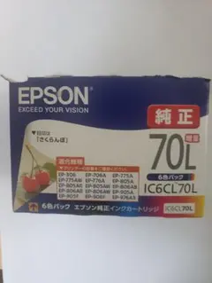 EPSON IC6CL70L