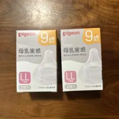 Pigeon 母乳実感 LLサイズ　2個入り×2箱