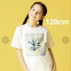 B:MING by BEAMS / NOAAプリントTシャツ　120cm