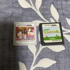 Nintendo 3DS ゲーム 2本セット　おいでよどうぶつの森　12歳