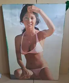 アグネスラムポスター木製パネル