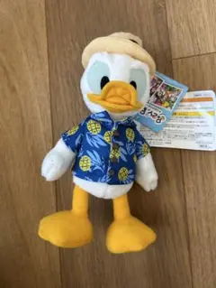 ドナルドダック・デイジーダック ぬいぐるみセット　ポージープラッシー 51iTXGomZFL._UF894,1000_QL80_.jpg