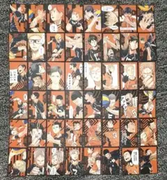 ハイキュー　ボードゲーム　援　48枚　烏野