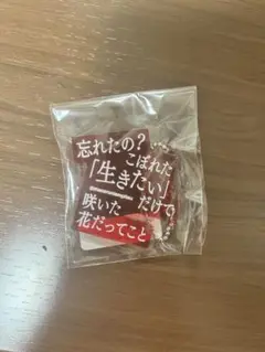 マカロニえんぴつ 歌詞キーホルダー ガチャガチャ だれもわるくない