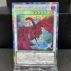 [新]ブラックローズドラゴン(左向/白緑背景)25th