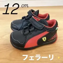 Item thumbnail for item c7fc3c46-8318-428e-8277-185613414b96