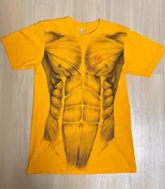 !!!(chkchkchk)来日ツアー会場販売騙し絵Tシャツ◾️アメリカンアパレル