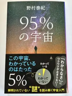 野村泰紀　95%の宇宙