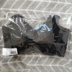 Item thumbnail for item 77cdf333-805c-4f04-8451-65198243e653