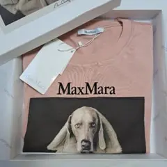 マックスマーラ　犬　置物 Max Maraで箱入り娘（イヌ）を購入 | エルメスに魅せられてAmeba