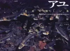 【連休中限定値下】アユ : 日本の美しい魚