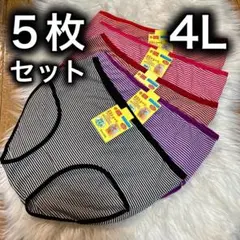 ショーツ 5枚セット 4L ボーダー コットン ブラック 紫　赤　XXXL