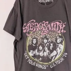 AEROSMITH エアロスミス USツアー'74 Tシャツ 70s 復刻 公式