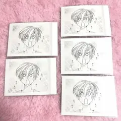 桜蘭高校ホスト部 須王環 ぱしゃこれ カード