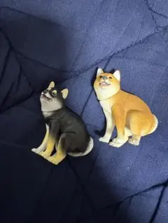 ふんばりーぬ　柴犬　黒柴