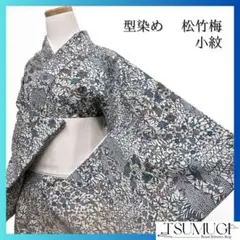 小紋　型染め　青海波　松竹梅　菊花　花模様　着物　064a p