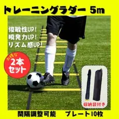 【新品未使用】トレーニングラダー 5メートル 10枚プレート付き 2本セット
