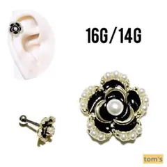 Item thumbnail for item 9dd327fd-c7ee-462d-b0fc-2087aa95a71b