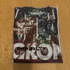 ファジアーノ岡山　配布Tシャツ