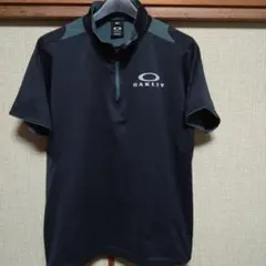 Item thumbnail for item 76343c93-1d93-4d5e-ae8d-6f7037820469